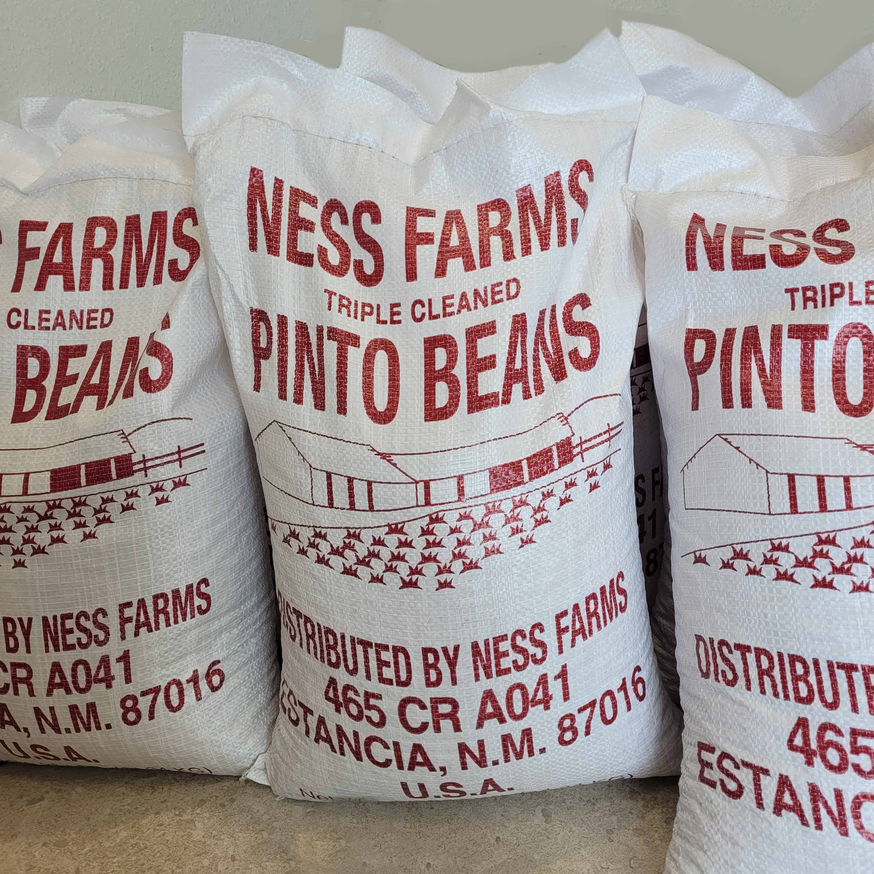 Ness Farms Pinto Beans
