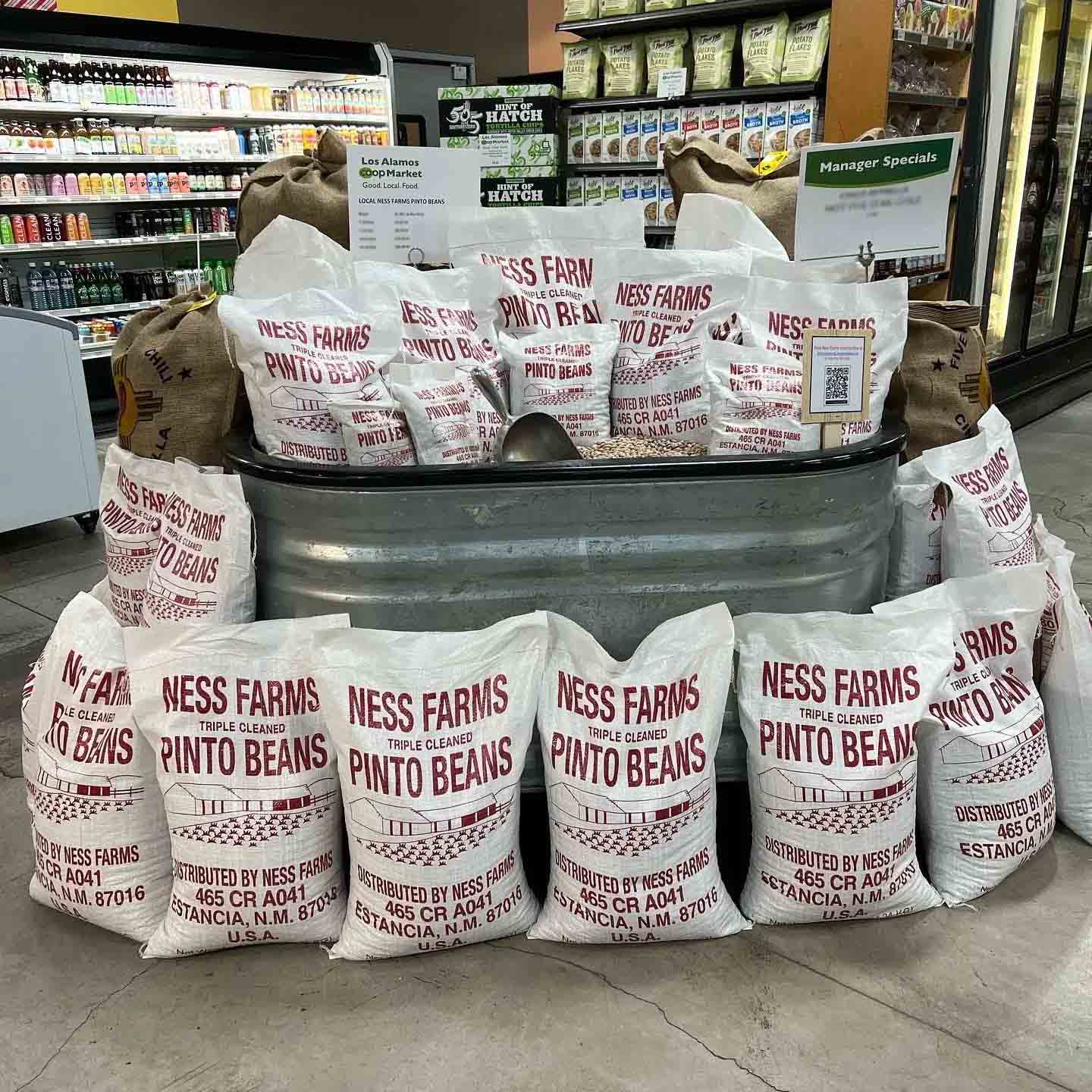 Ness Farms Pinto Beans